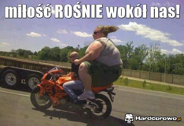 Miłość rośnie wokół nas - 1