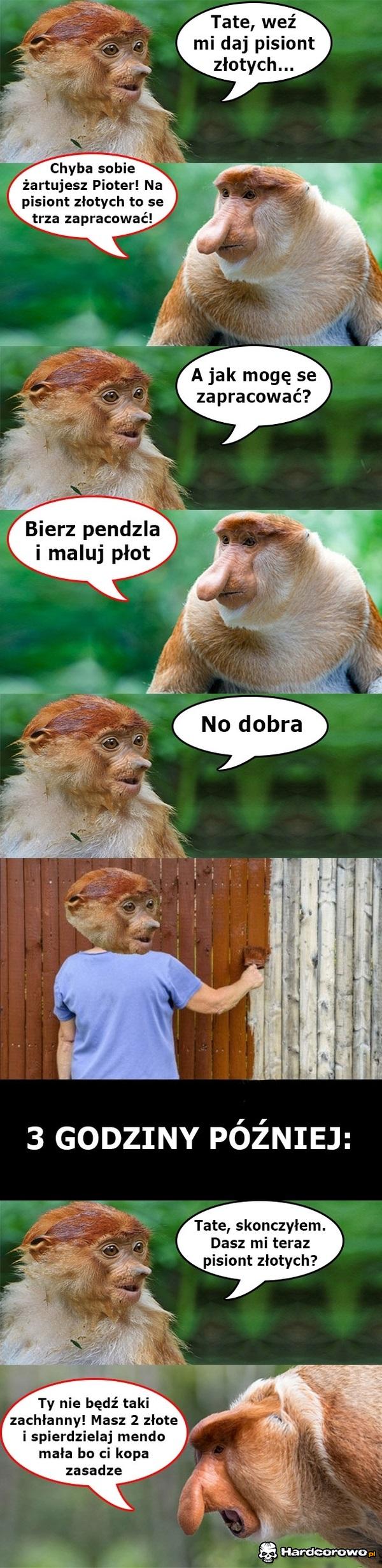 Pierwszy pracodawca - 1