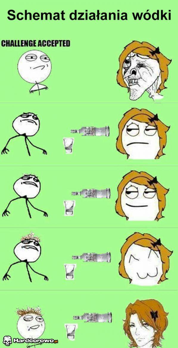 Schemat działania wódki - 1