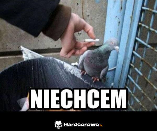 NIechcem - 1