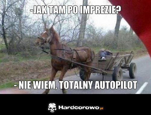 Autopilot - 1