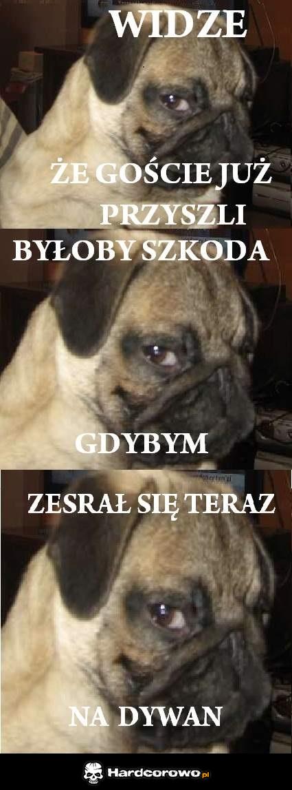 Widzę że goście już przyszli - 1