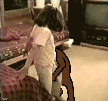 Pedobear - 1