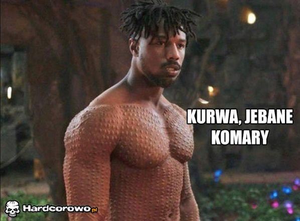 Komary - 1