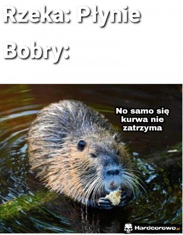  - 1