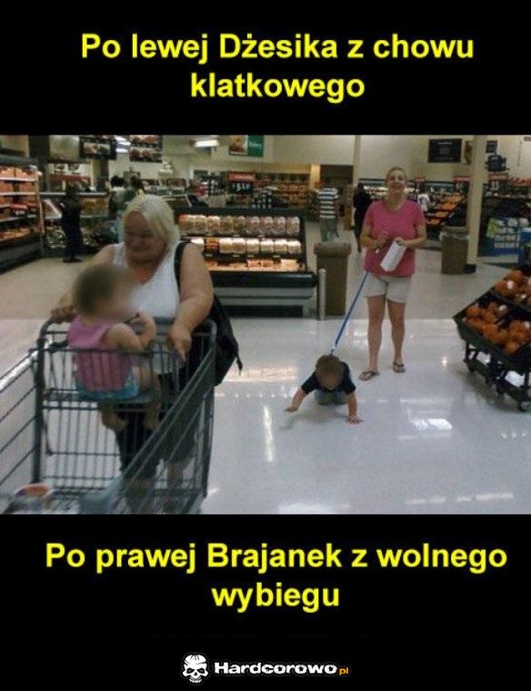 Beka z patologii - 1