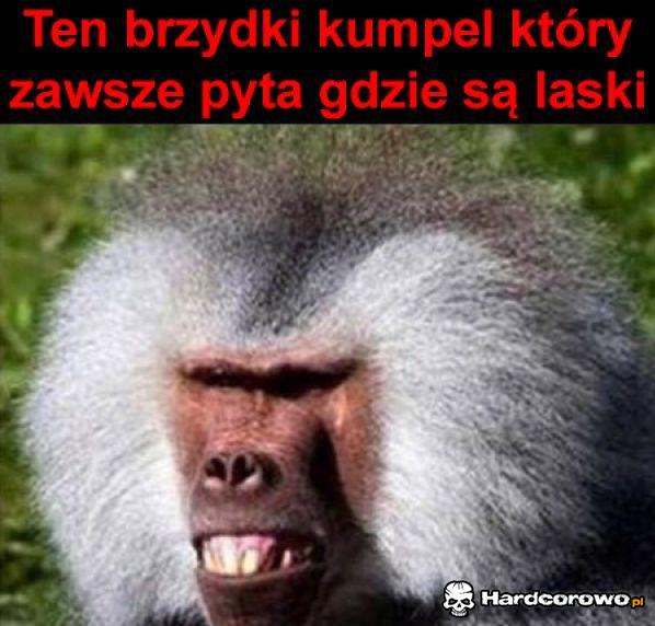 Brzydki kumpel  - 1