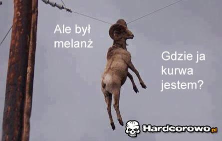 Melanż - 1