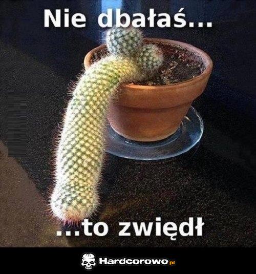 Właśnie! - 1