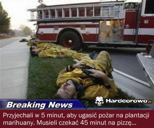 Pożar na plantacji marihuany - 1