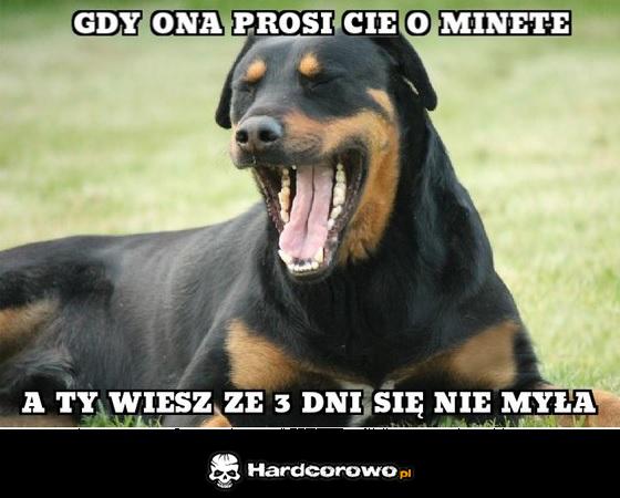 Chyba sobie żartujesz - 1
