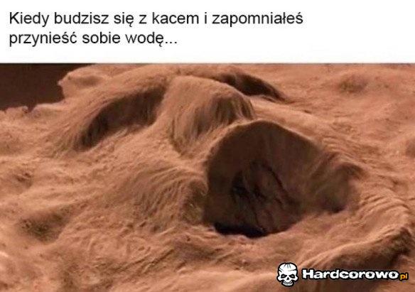 Wody! - 1