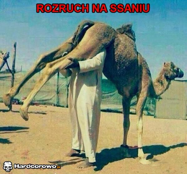 Rozruch na ssaniu - 1