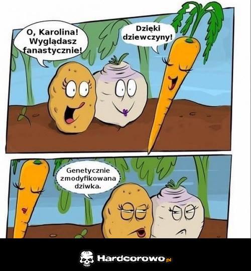 Znajome - 1