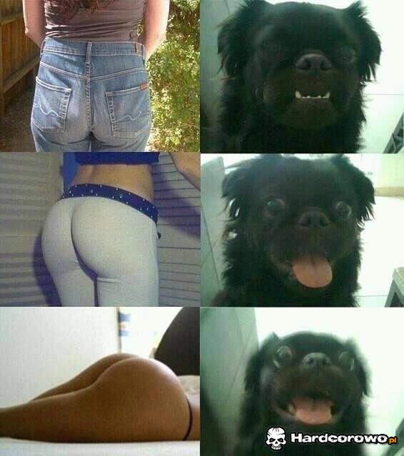 On wie co dobre  - 1