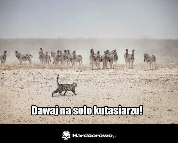 Dawaj na solo kutasiarzu! - 1