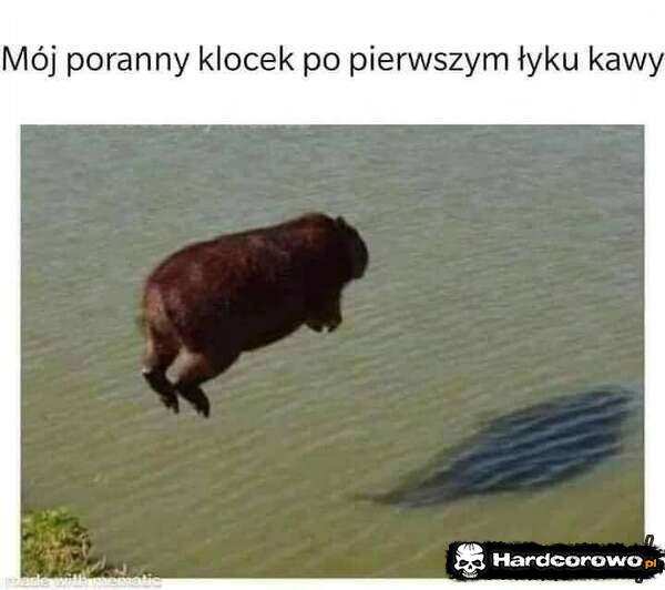  - 1