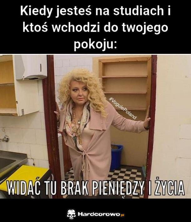 Studia - 1