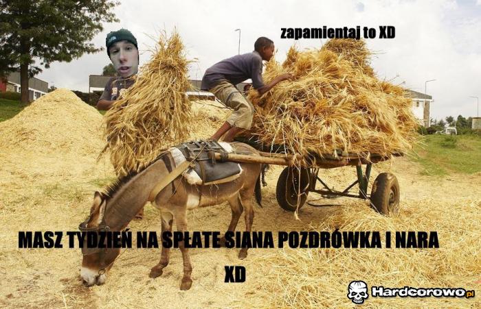 Dług - 1