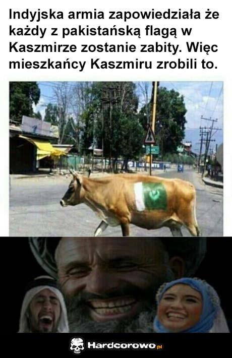 Pakistańskie trolle - 1