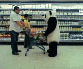Dokuczliwa panda w markecie - 1