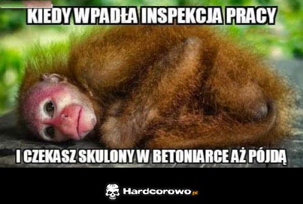 Inspekcja pracy - 1