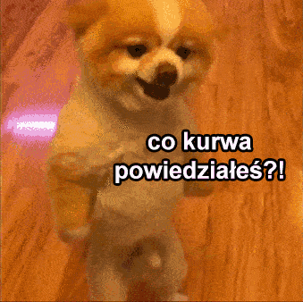 Co kurwa powiedziałeś? - 1