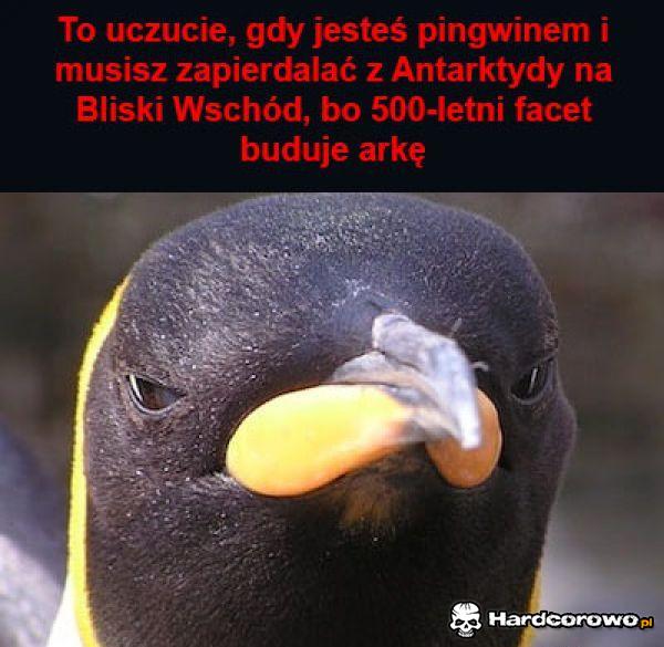 To uczucie - 1