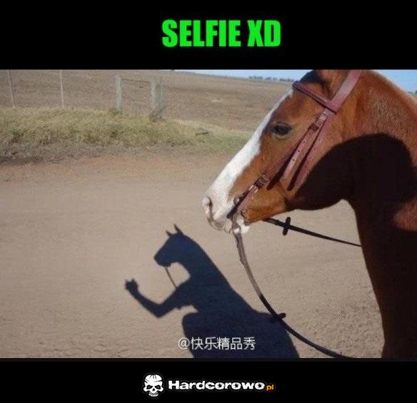 Końskie selfie - 1