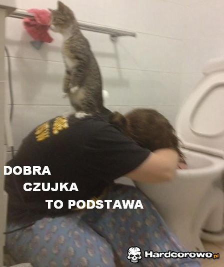 Dobra czujka - 1