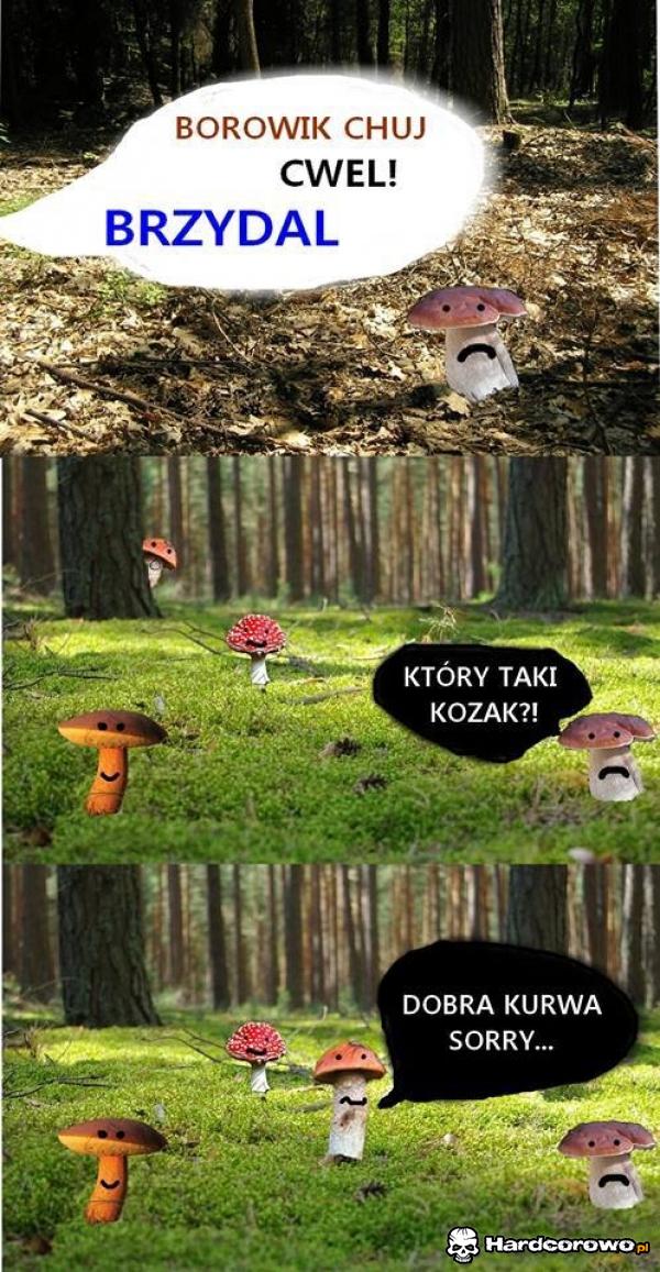 Grzybki - 1