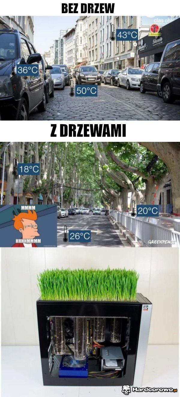 Chłodniej - 1