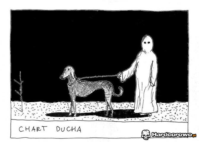 Chart ducha - 1