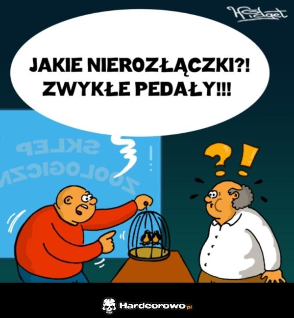 Nierozłączki - 1