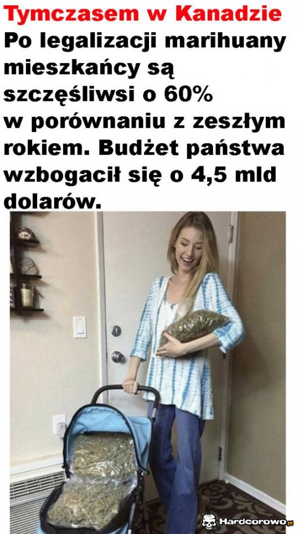 Straszne narkotyki - 1