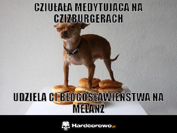 Medytacja psa - 1
