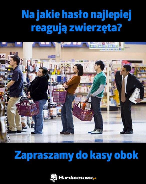 Hasło dla zwierząt - 1