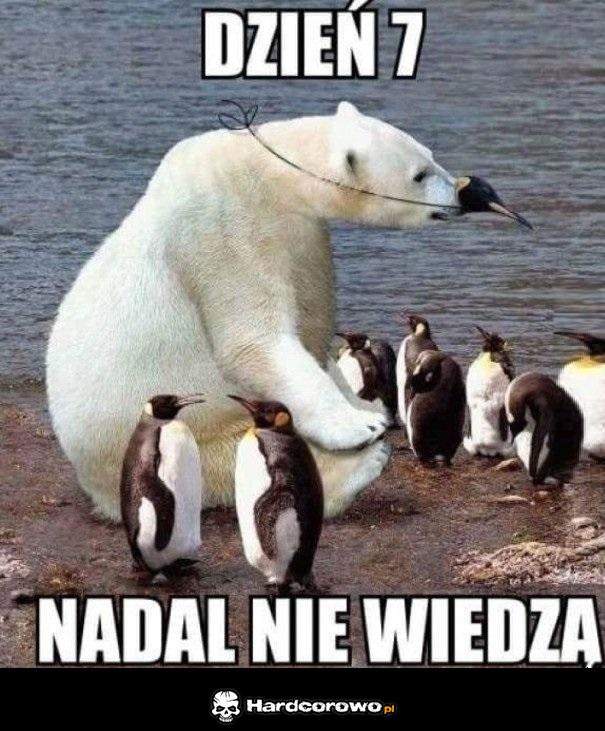 Mistrz kamuflażu - 1