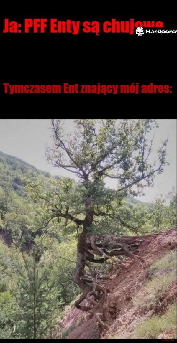  - 1