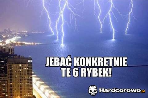 Biedne rybki  - 1