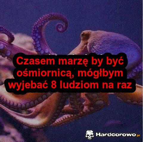 Ośmiornica  - 1