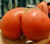 Dupa pomidorowa