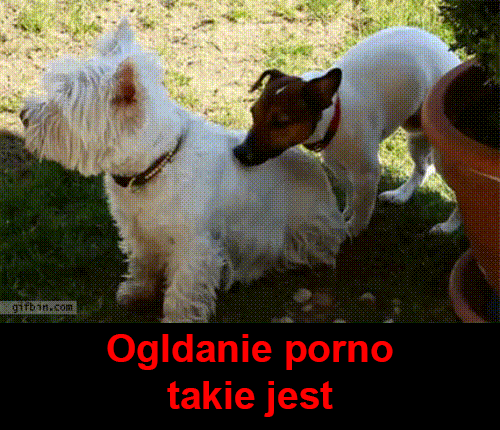 Oglądanie porno - 1