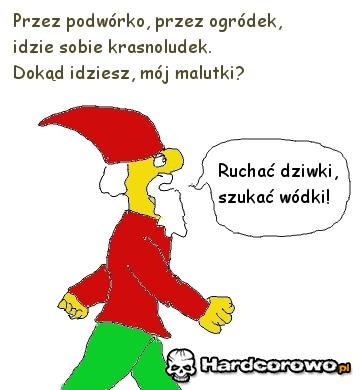 Krasnoludek - 1
