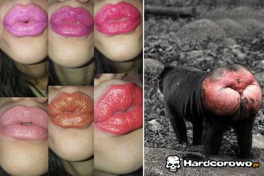 Piękne jak dupa pawiana - 1