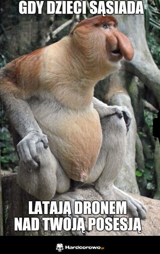 Dzieci sąsiada - 1
