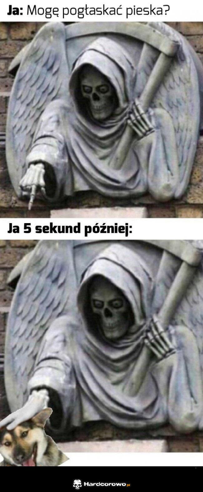 Kiedy mogę pogłaskać pieska - 1