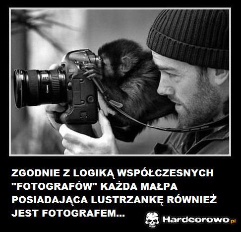 Fotograf - 1