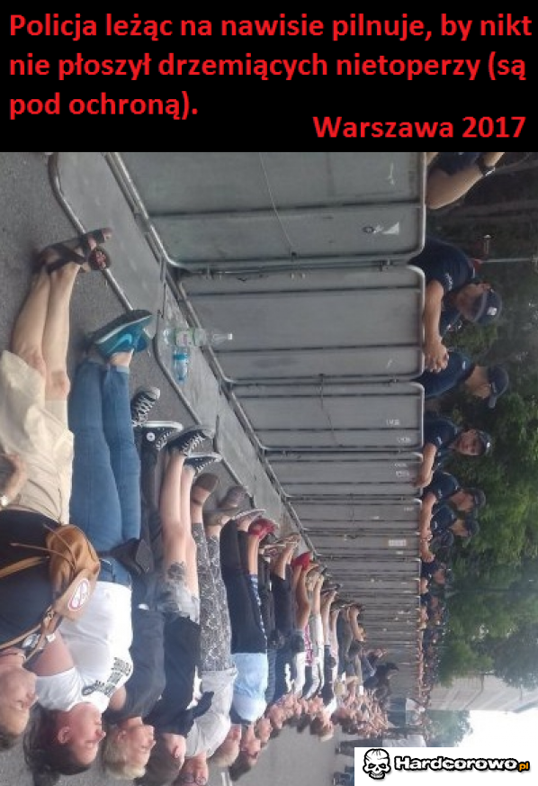 Pod ochroną - 1