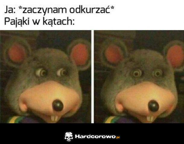 Pająki - 1